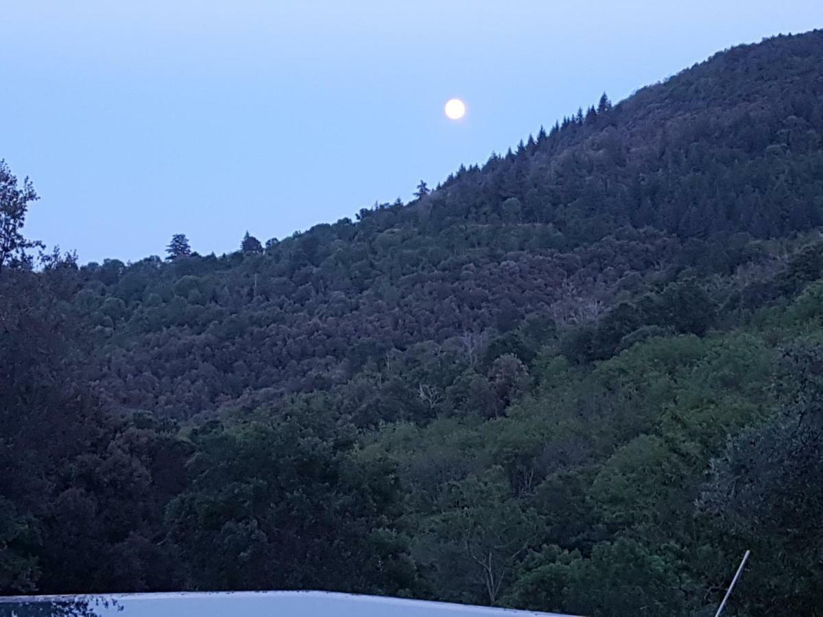 El Solei Paraiso En El Montseny Arbúcies Exterior foto