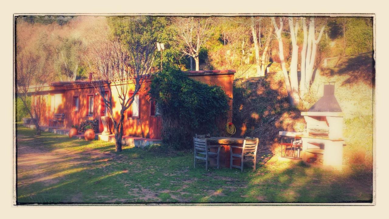 El Solei Paraiso En El Montseny Arbúcies Exterior foto