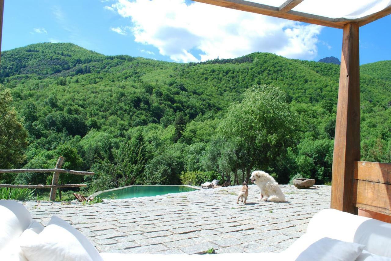 El Solei Paraiso En El Montseny Arbúcies Exterior foto