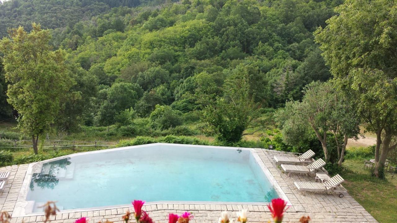 El Solei Paraiso En El Montseny Arbúcies Exterior foto